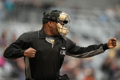 Second minor league umpire sues MLB, alleges firing was retaliation for sexual assault complaint