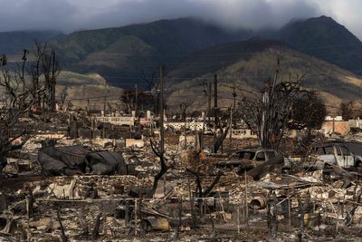 Researchers say poverty and unemployment are up in Lahaina after last year's wildfires