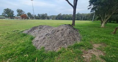 EPA investigates asbestos dump at lakeside park and scout hall