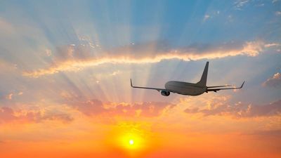 A bird incident temporarily closed down an airport runway