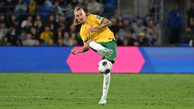 New Socceroos coach Popovic demands intensity lift