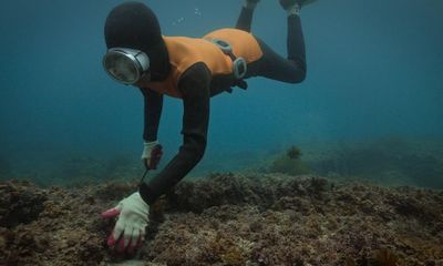 The Last of the Sea Women review – female Korean divers as picturesque eco-feminist tradition