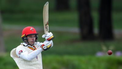 Lost balls: Carey on the attack ahead of Test summer