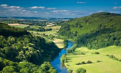 England: A Natural History by John Lewis-Stempel review – an amiable ramble