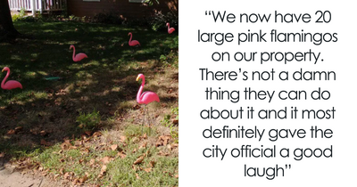 Neighbors Keep Complaining About Disabled Couple’s Lawn, So They Get Even With Petty Revenge