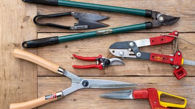 I have over 10 years of hands-on pruning experience, and these 9 pruning tools are the only ones I would recommend