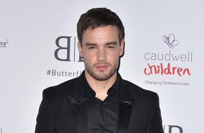 Liam Payne's second solo album 'postponed'