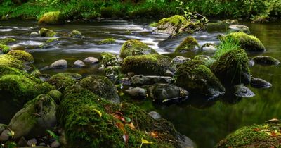 New project to restore Scotland’s rivers gets £1.8 million boost