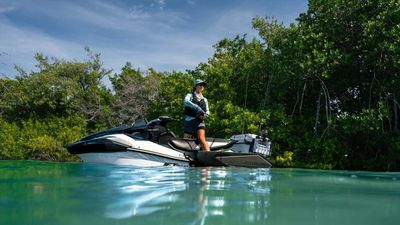 Don't Be a Jerk To Whales, Ride Your Jet Skis Away From Them