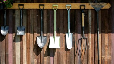 I'm a gardens writer, and I've found huge discounts on potting shed organizers this Amazon Prime Day – tidy up your tools for under $15