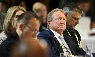 Andrew Forrest says net zero is ‘fantasy’ so his goal is ‘real zero’. What does he mean – and can he achieve it?