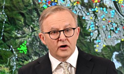 Nature groups in ‘dismay’ over Albanese’s leadership on ‘critical’ environmental reforms