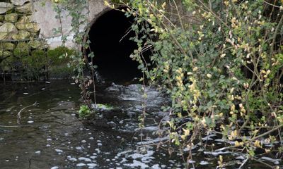 English water system singled out for criticism by UN special rapporteur