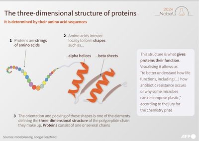 What Are Proteins Again? Nobel-winning Chemistry Explained