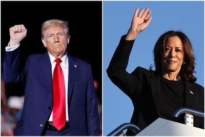 Trump gaining in polling to win the ‘Blue Wall’ states as Harris poll momentum slows