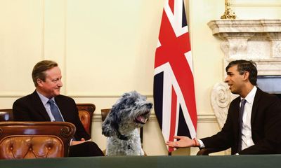 ‘The glass ceiling for dogs had been broken!’ Herbie the cockapoo on his years working for Sunak and Starmer