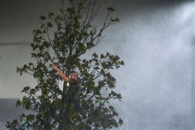 Milton damages the roof of the Rays' stadium and forces NBA preseason game to be called off