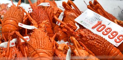 China removes block on Australian lobster, in last big bilateral trade breakthrough