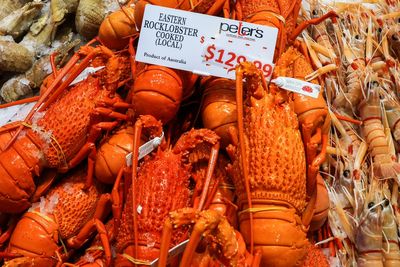 Lobsters back on the menu as China lifts four-year ban on Australian exports