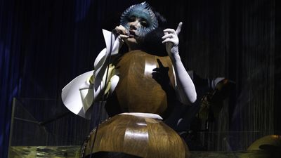 “Spreading Utopia into fully surround speakers... 27 moving curtains... bespoke instruments: an aluphone, a circular flute and a reverb chamber... in a personal chapel”: Take cover, it’s Bjork’s new book