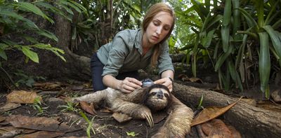 Slow-moving sloths will struggle to adapt quickly to climate change – new study