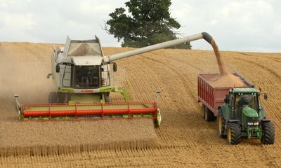 Harvest in England the second worst on record because of wet weather