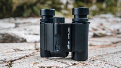 Nikon’s new compact stabilized binoculars could the perfect, judder-free safari companion