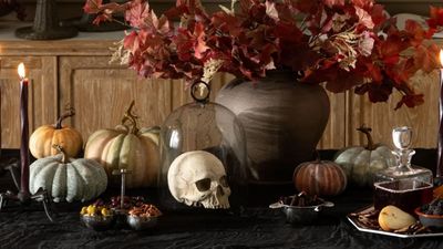 23 Halloween decor ideas that will transform your home into a spooky, yet chic guest-envying treat this holiday