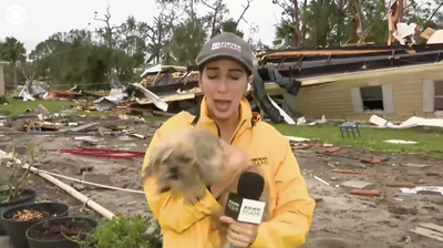 News Crew Locates Lost Dog in Hurricane Debris After Reporting On Owners' Death