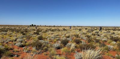 A patchwork of spinifex: how we returned cultural burning to the Great Sandy Desert