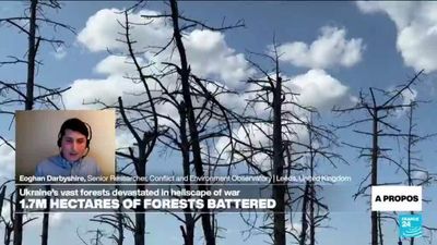 Ukraine's vast forests devastated in hellscape of war