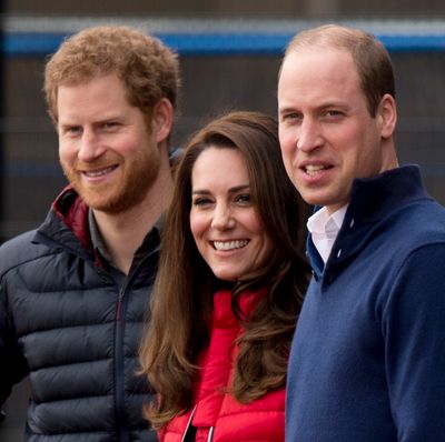 Royal Expert Claims Princess Kate is Done "Playing Peacemaker" With King Charles, Prince Harry and Prince William