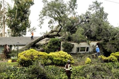 Massive Tree Falls On Florida Home During Storm