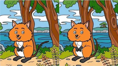 Only person who is naturally smart can spot 6 differences in under 12 seconds