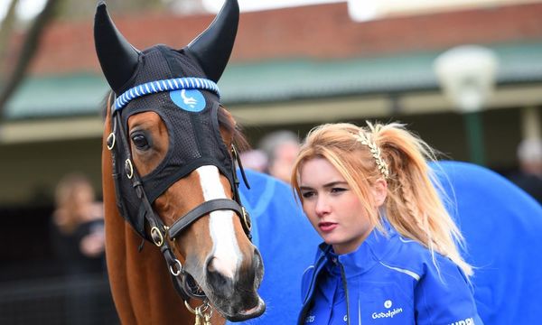 Godolphin happy with Melbourne Cup draw after top pair drawn side by side