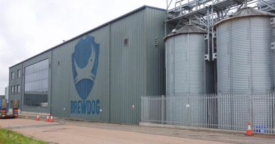 Brewdog forced to pour away millions of pounds of 'infected' beer at flagship brewery