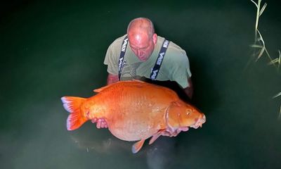 Experience: I caught the ‘world’s biggest goldfish’