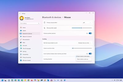 How to enable reverse mouse and touchpad scrolling on Windows 11