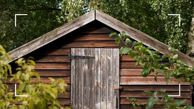 6 household items you should never store in a shed over winter, experts warn before it's too late