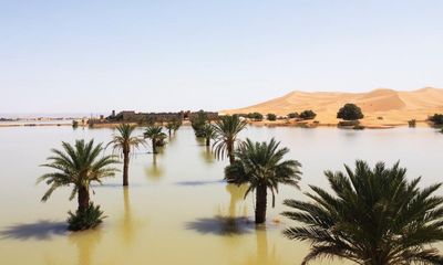 Dramatic images show the first floods in the Sahara in half a century