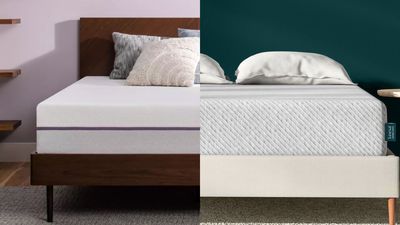 Purple vs Leesa Original: Which memory foam mattress is best for your sleep?