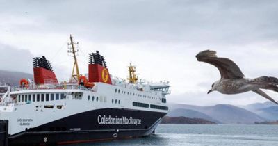 Turkish-built CalMac ferries face delays amid supply chain issues