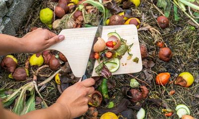 Food waste and the horror of discarded pumpkins