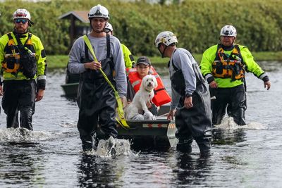 Alligators and stingrays could be loose in Florida floodwaters prompting warnings from officials