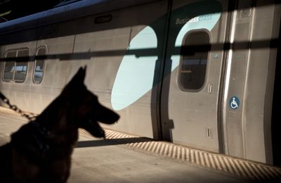 Amtrak Under Investigation After Disabled Woman Allegedly Kicked Off Train, Charged Extra for Wheelchair and Service Dog