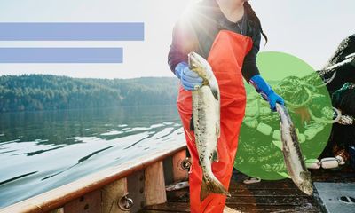 From the sea to your plate: how to choose more sustainable salmon