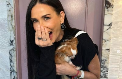 Demi Moore's dog is a first class plane pooch