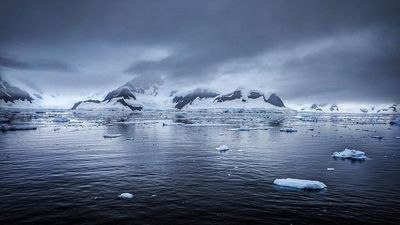 Ice loss and plant growth mark new era for warming Antarctica