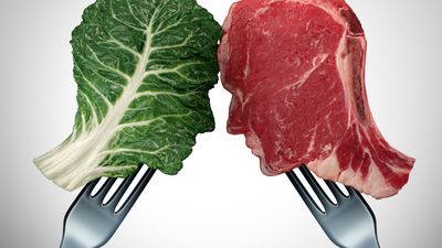 Why does meat have more protein than vegetables?