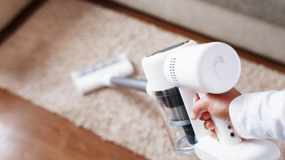 Why has my vacuum cleaner lost suction? — experts explain possible causes, and what you need to do